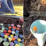cup for bees and butterfly