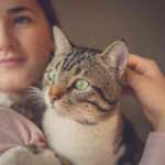 do cats really choose just one person