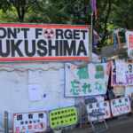 Fukushima disaster