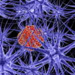 proteins in cancer research