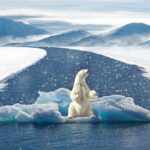 climate's effect on neurological disorders