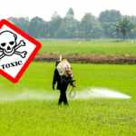toxic pesticides