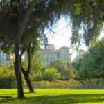 1Urban green spaces