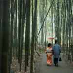 japanese walking