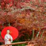 Ukiyo - japanese woman