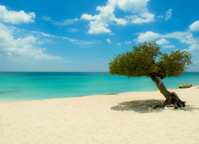 Eagle beach Aruba