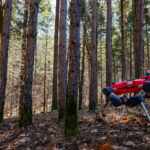Forest_robots