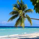 Jamaican beach
