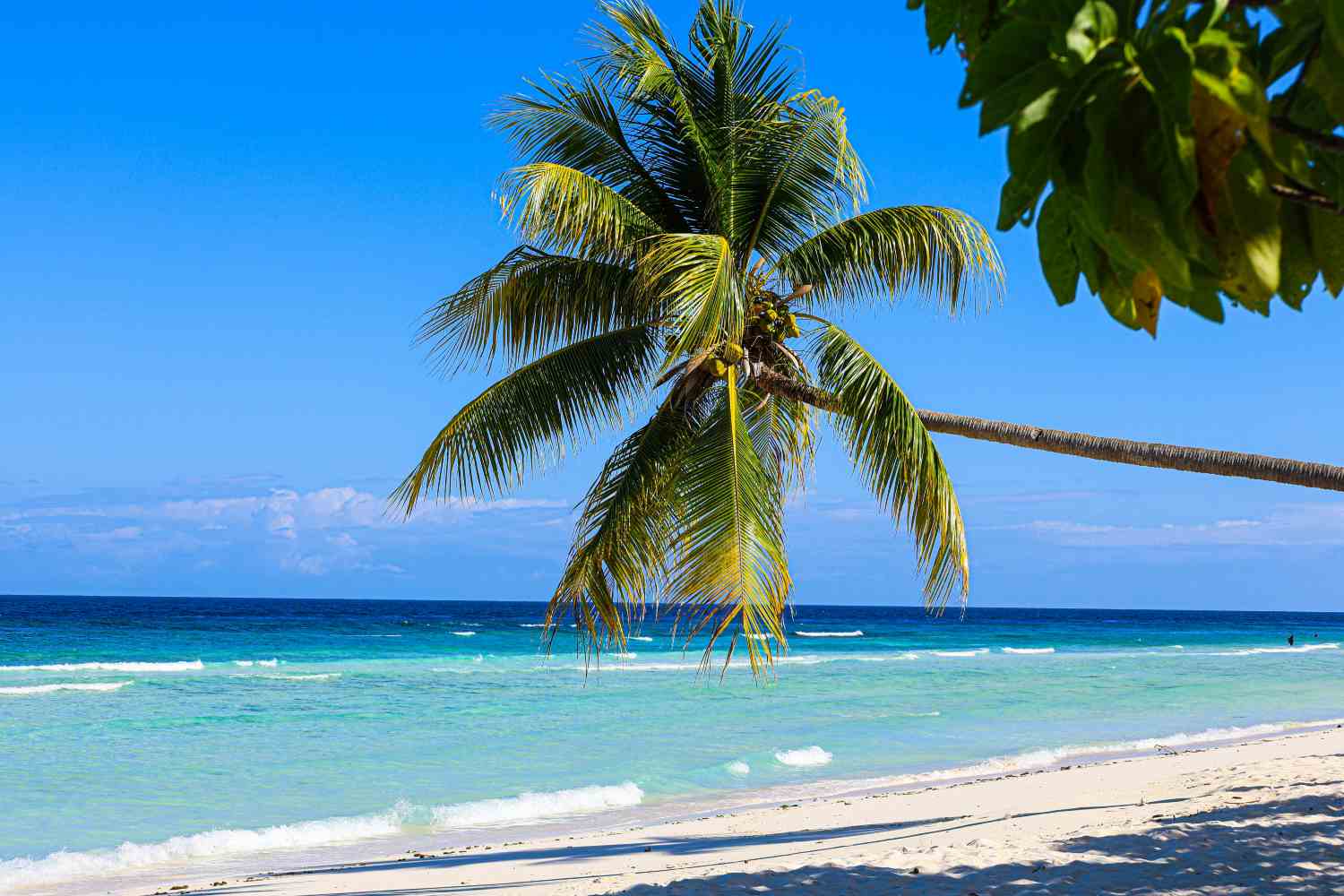 Jamaican beach