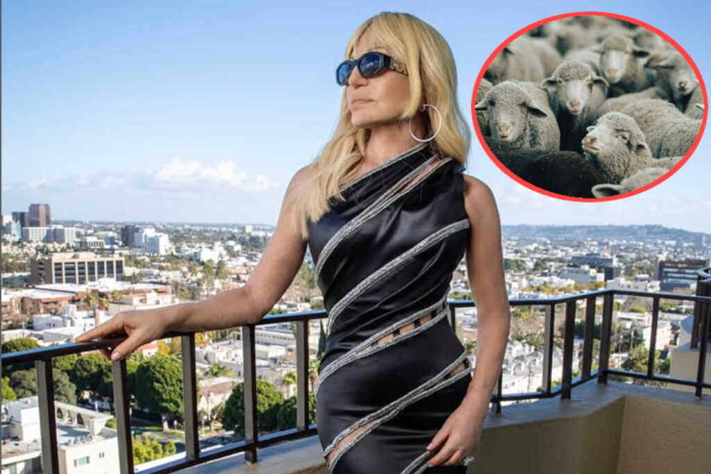 PETA letter to Donatella Versace