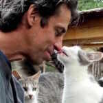 Chris Arsenault and his cats