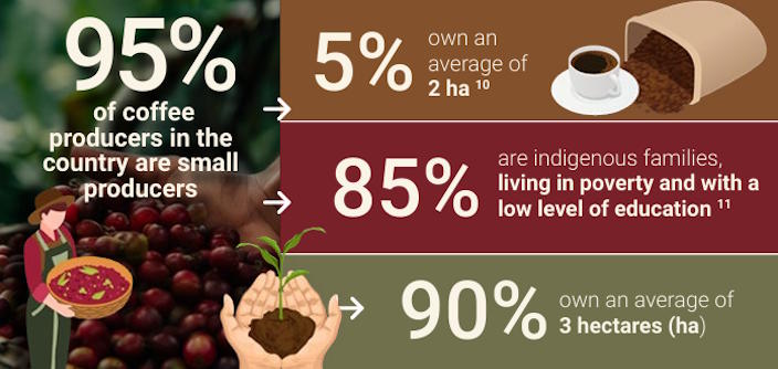 coffee producers