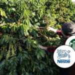 nestlé and starbucks coffee