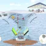sewage sludge into animal feed and clean energy