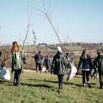 Western Forest pproject