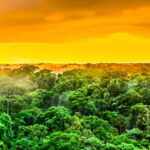Amazon Deforestation