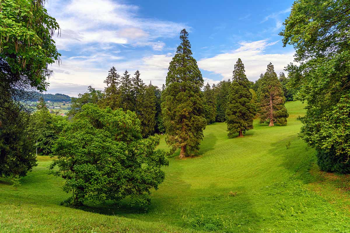 Rimske Terme (Park)