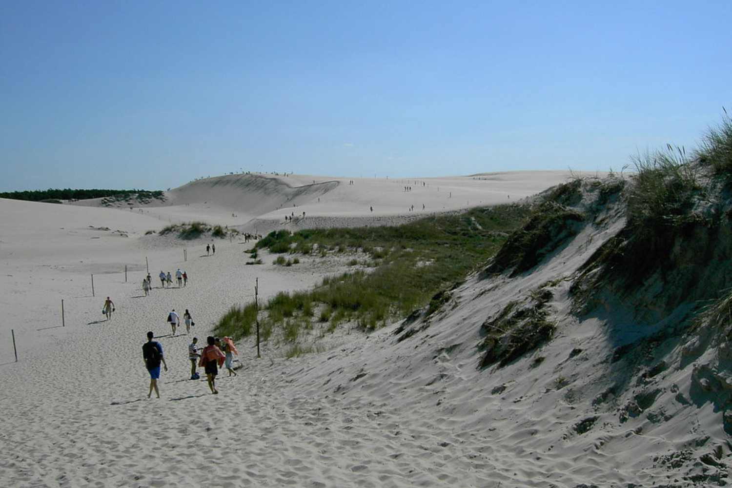 Lacka Gora dunes