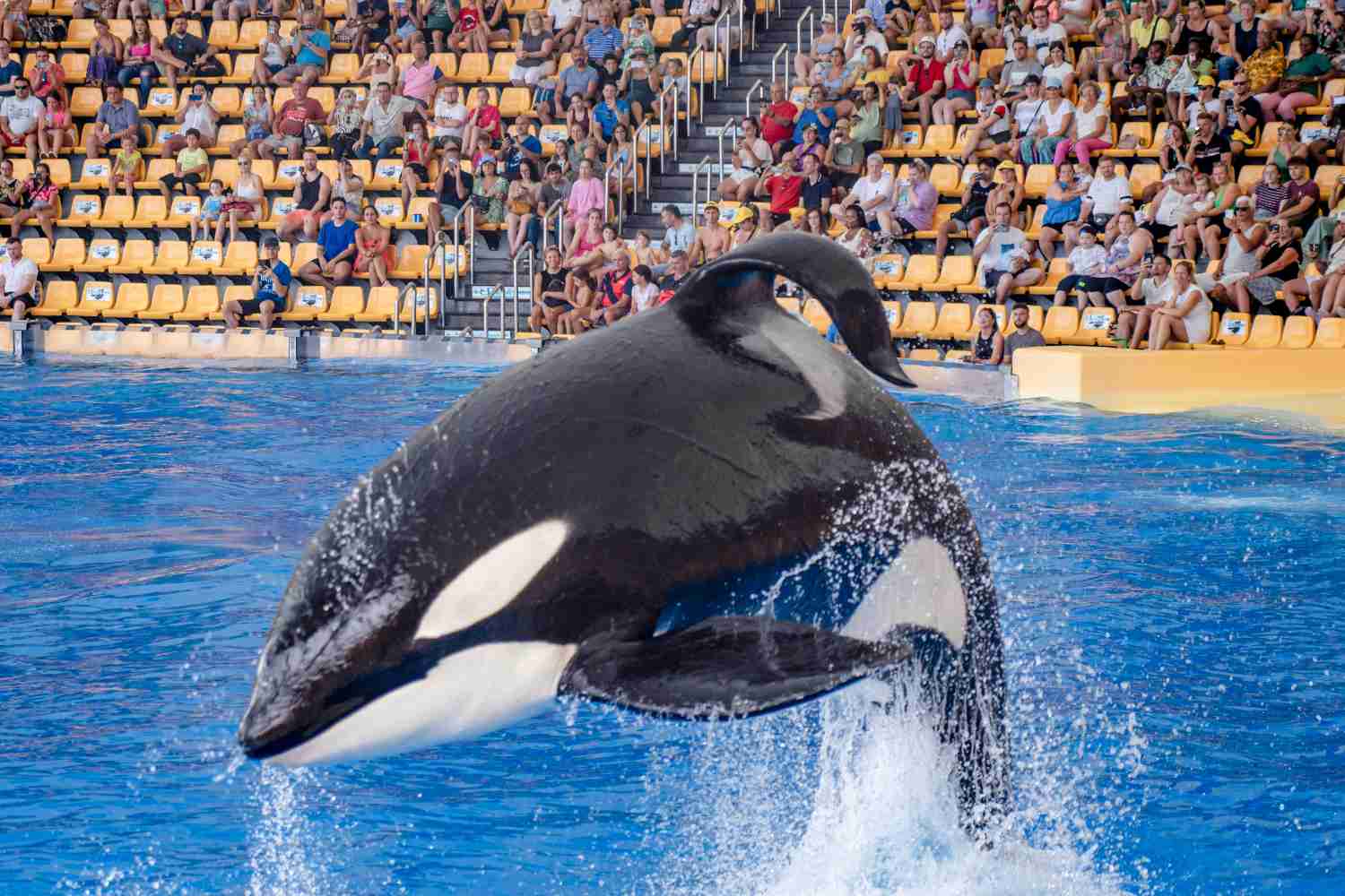 SeaWorld Orlando