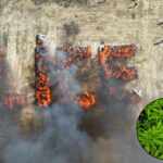 44,000 pounds of weed burned in a Turkish town