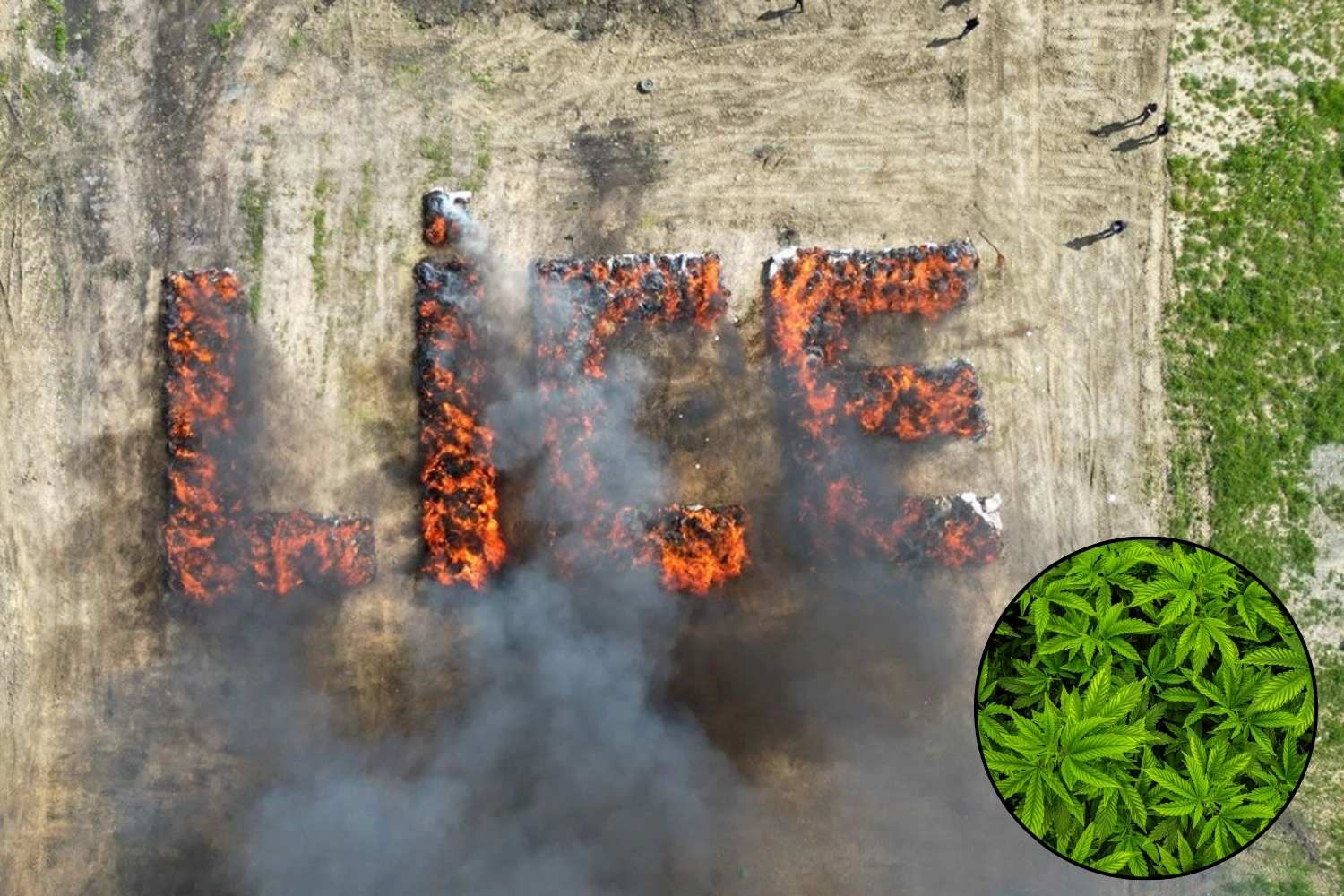 44,000 pounds of weed burned in a Turkish town