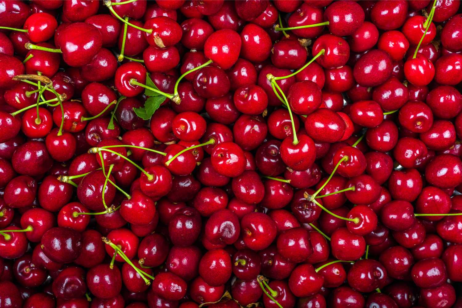cherries