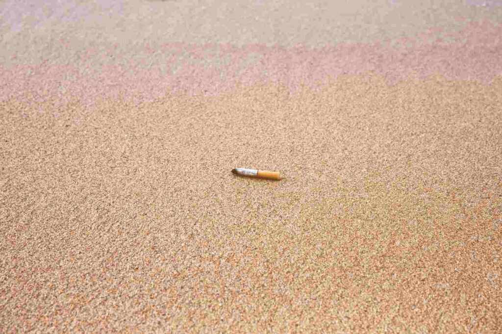 cigarette butt