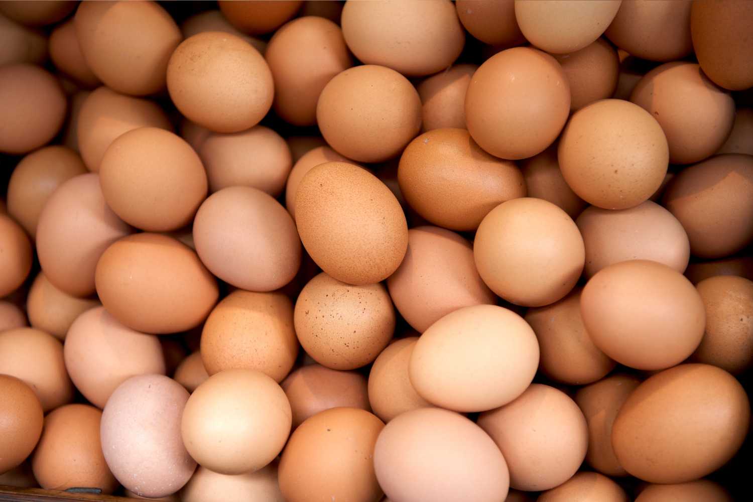 eggs