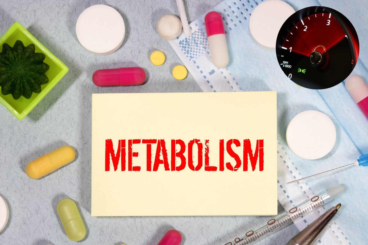 metabolism