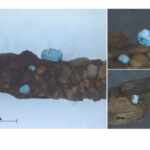 Microplastics