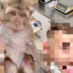 Images from a testing center