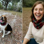Animals into Humans ChatGPT