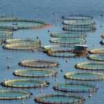 aquaculture Brazil