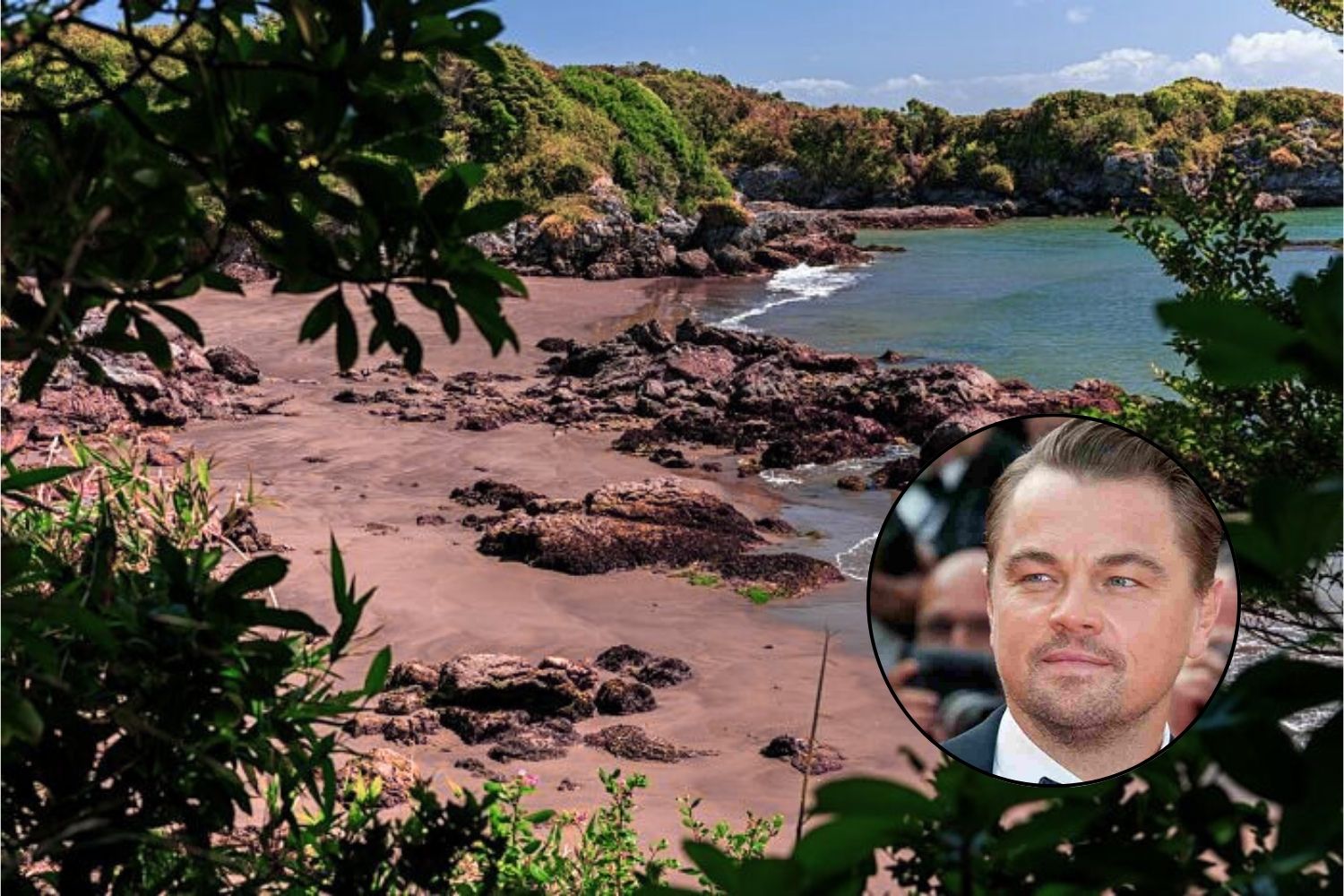 di caprio’s re:wild foundation buys isla guafo for conservation project