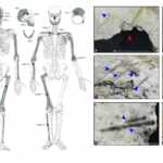 new discovery humans ate each other 18,000 years ago