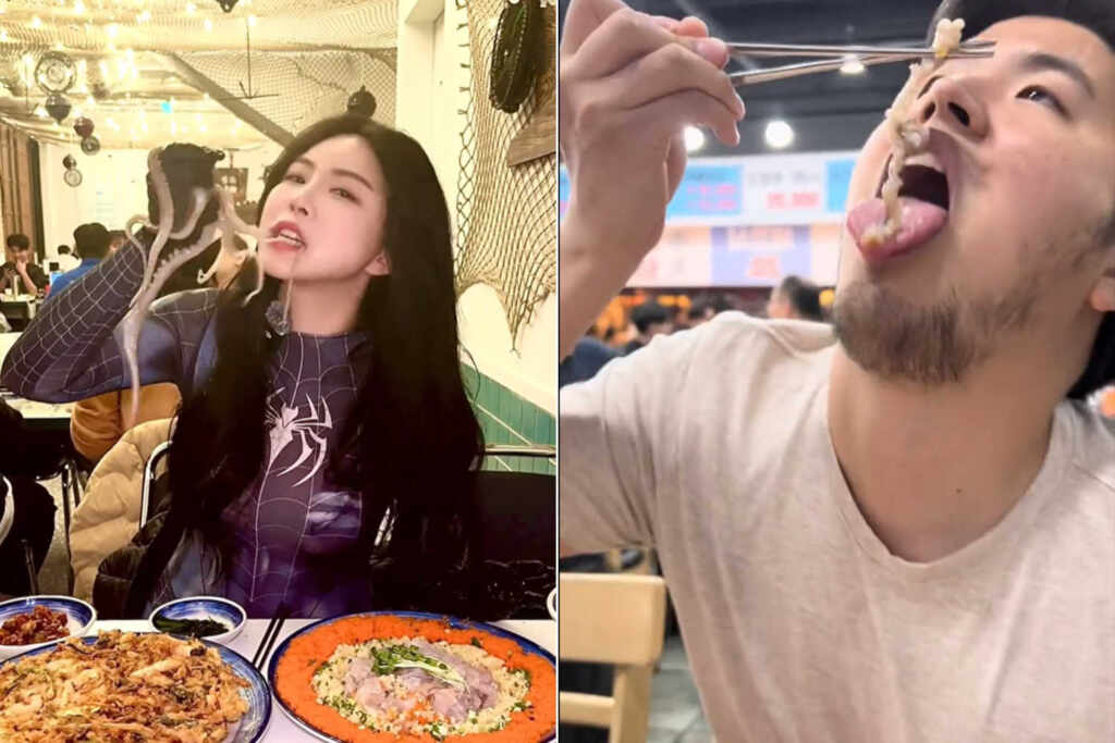 eating live octopuses