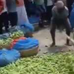 indian farmer destroys entire crop
