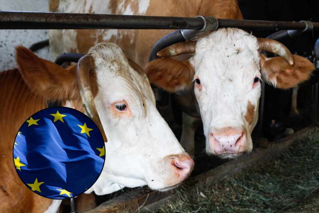 EU-Mercosur trade deal