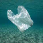 plastic bag