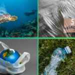 Plastic pollution