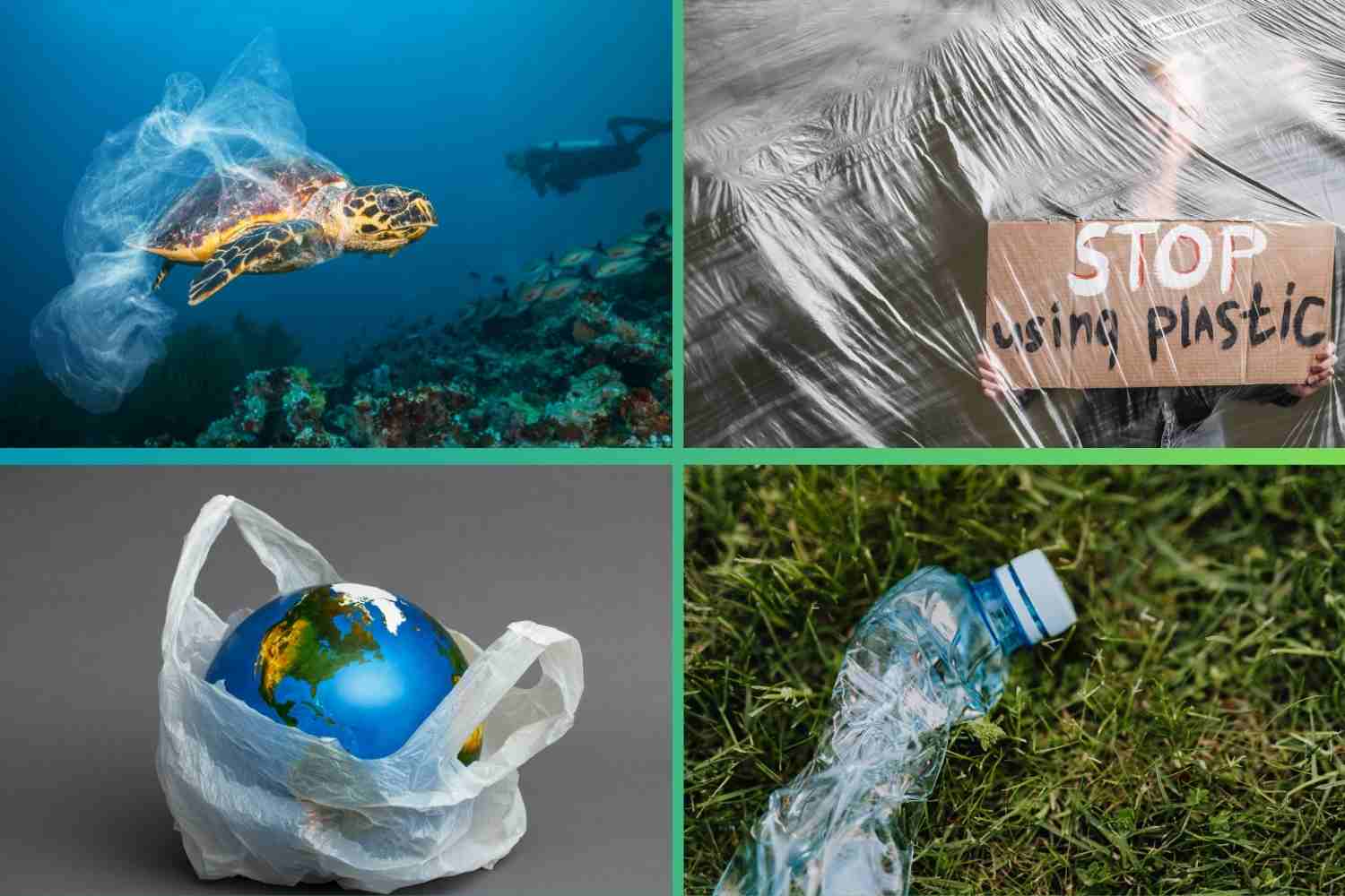 Plastic pollution
