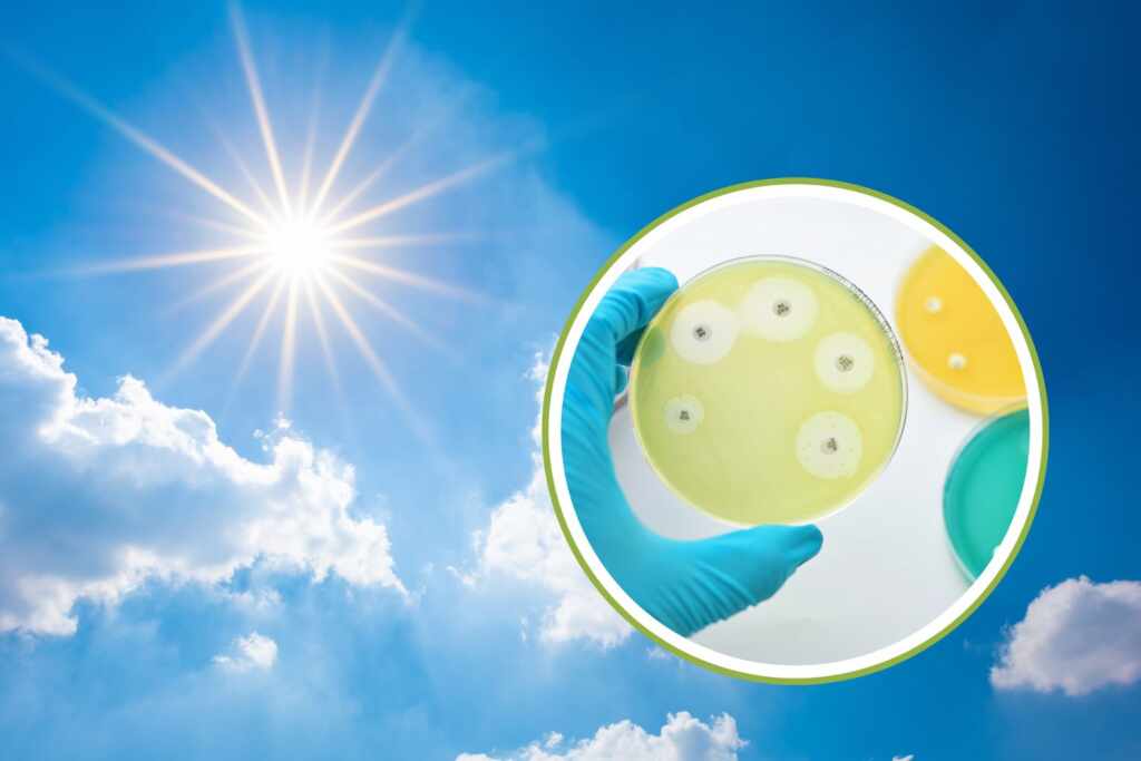 sun and vitamin D