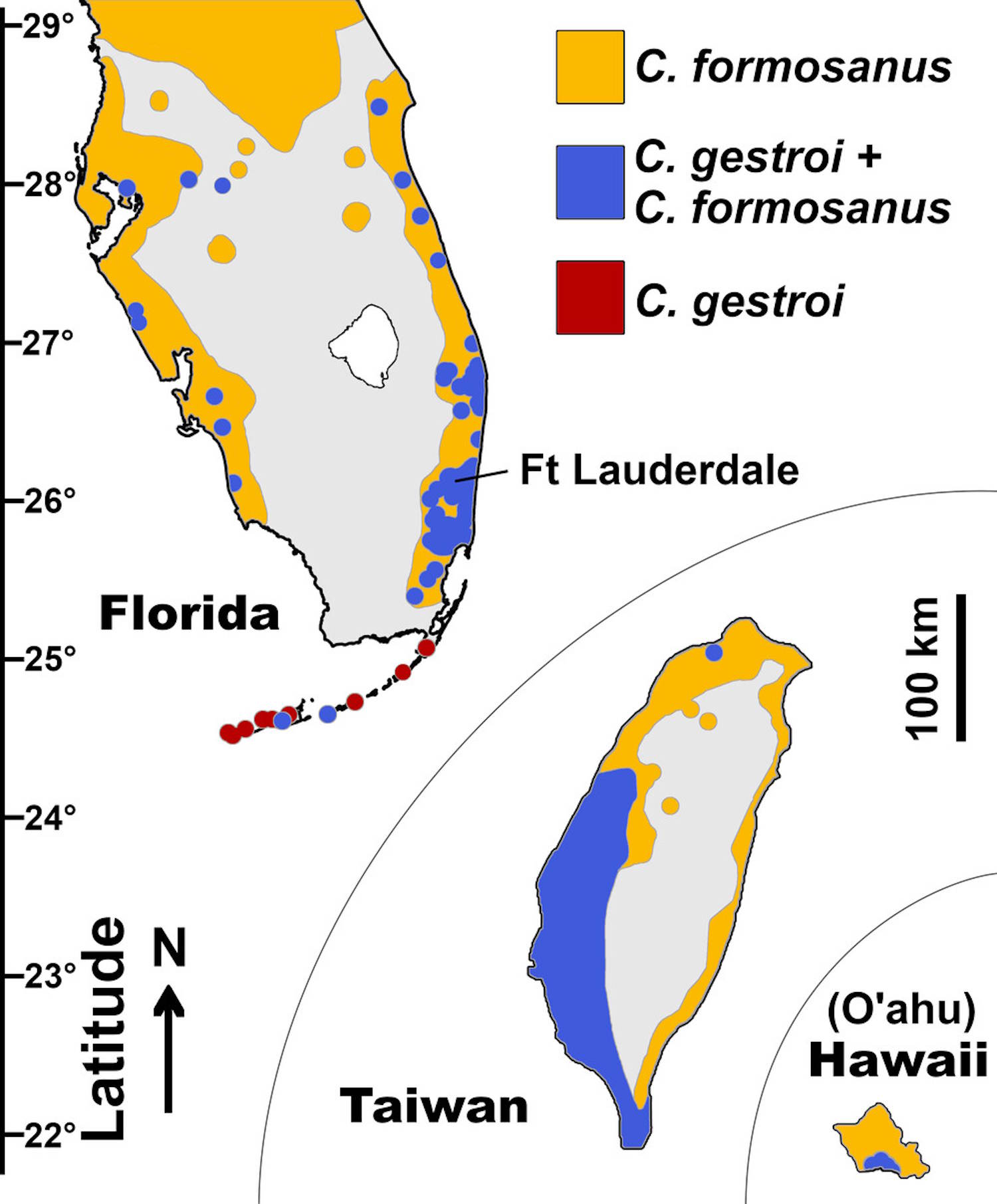super-termites-breeding-florida
