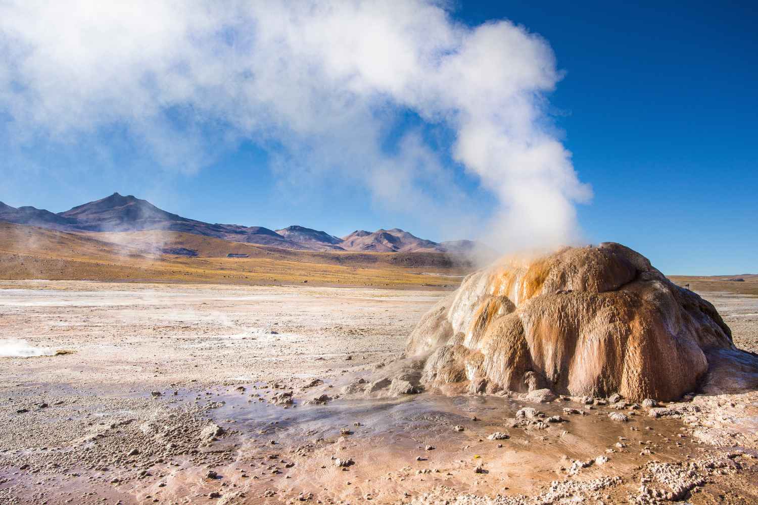 Atacama Desert, the El Tatio geyser