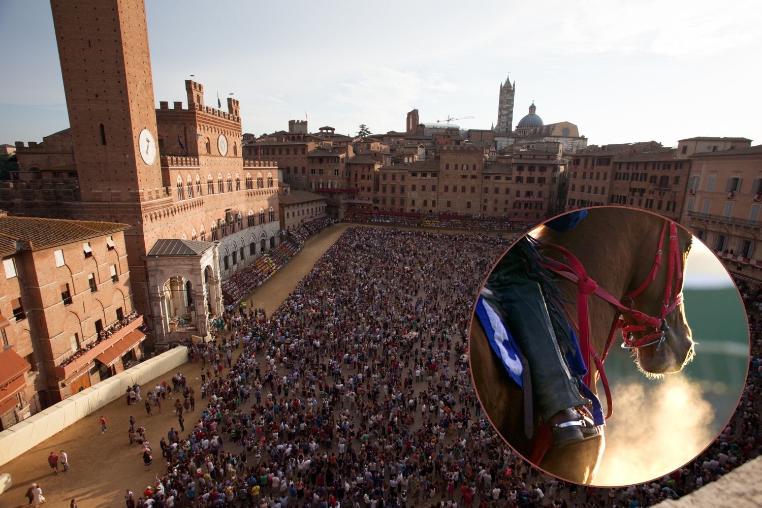 Palio di Siena