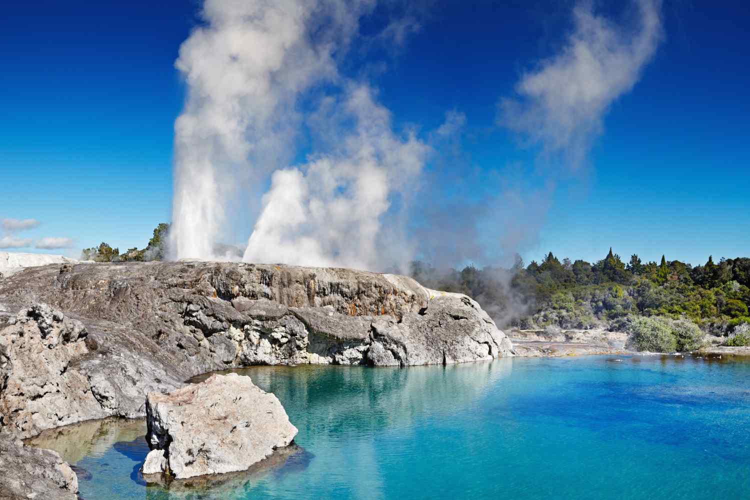 Pōhutu Geyser in Whakarewarewa - New Zealand