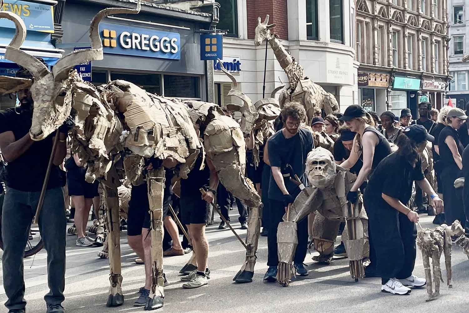 THE HERDS
