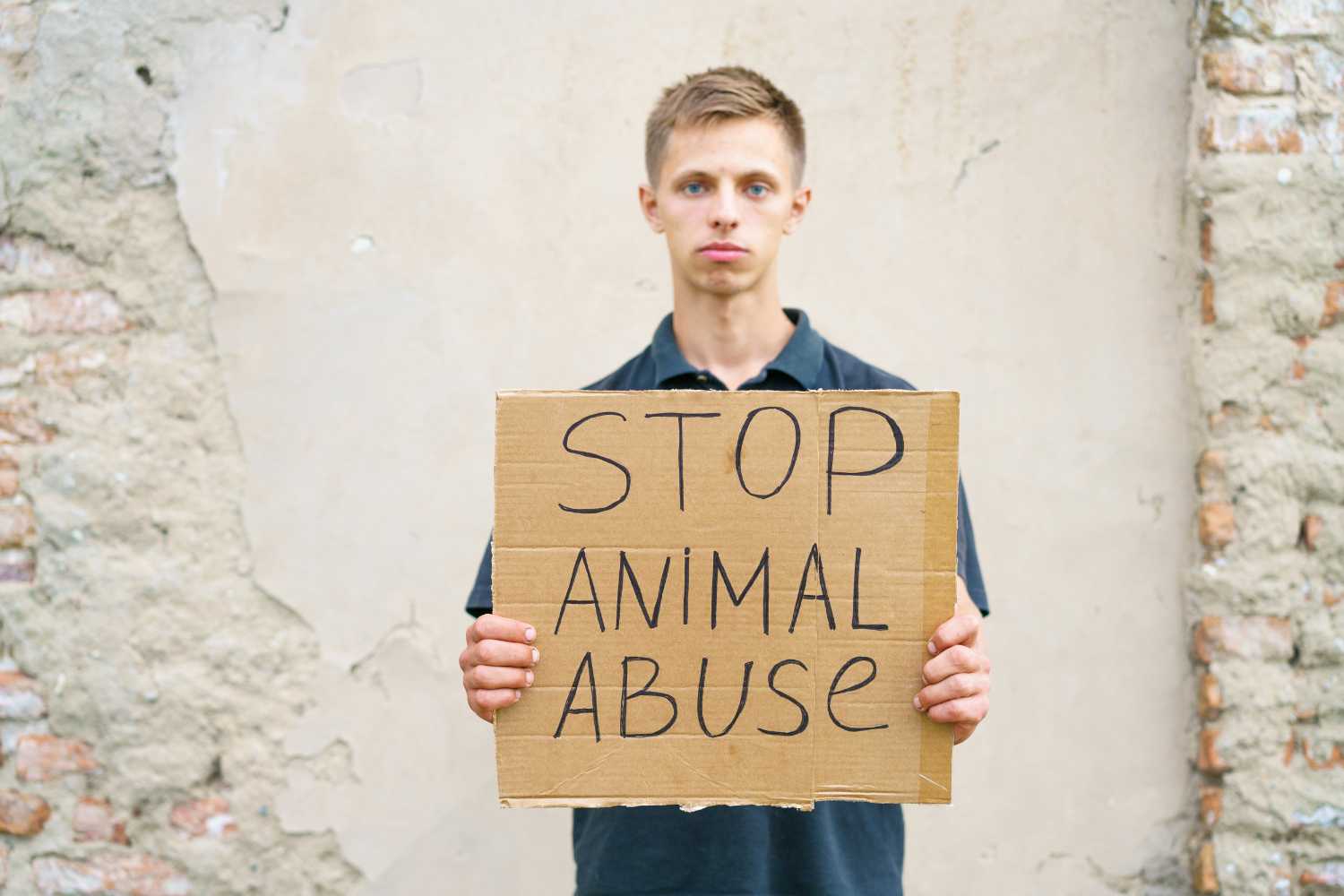 STOP Animal-abuse
