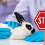Brazil ban animal testing for cosmetics