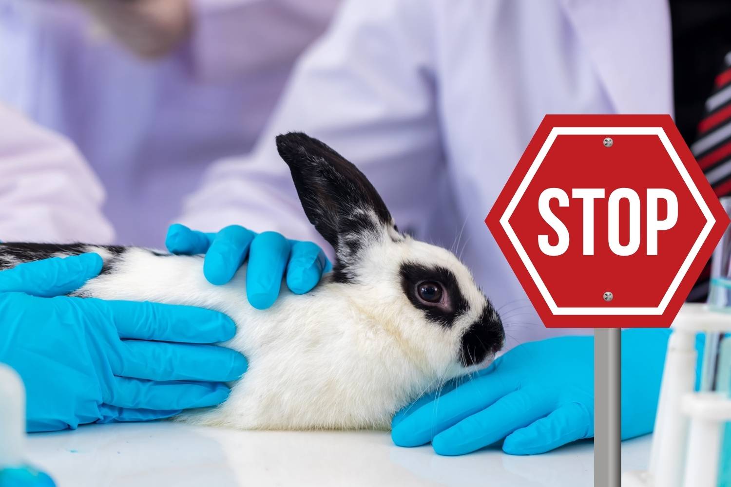 Brazil ban animal testing for cosmetics